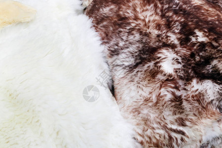 软白色和红皮的毛羊皮用手工图片