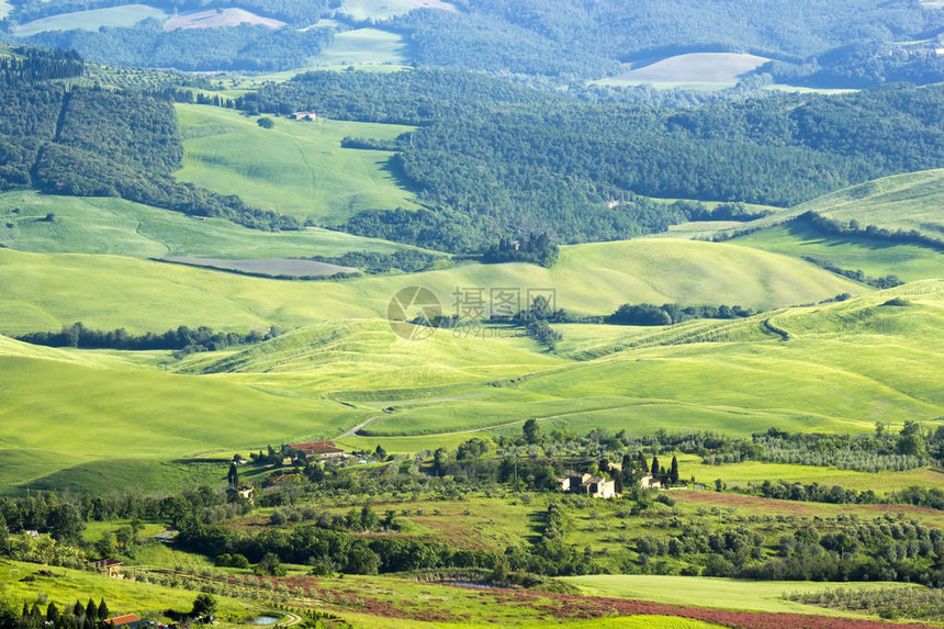 在春天的绿色典型的托斯卡纳风景图片