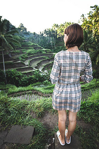 印度尼西亚巴厘热带岛屿Ubud的Tegalalang图片