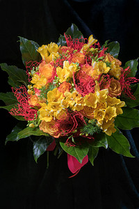 黑色背景生日概念国际妇女节和情人节的黄色小苍兰和玫瑰的图片