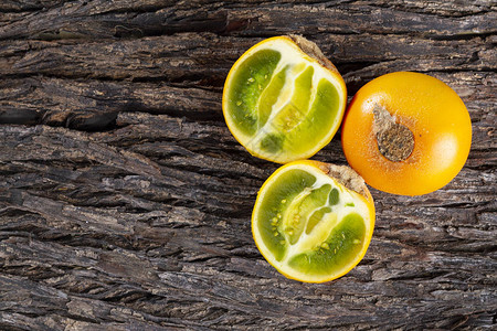树皮上的润滑油果实Solanumquisoen图片