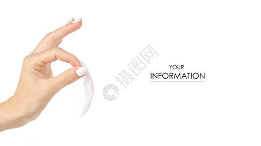 女手部的白色羽毛在白色背景隔离时对皮肤结构图片