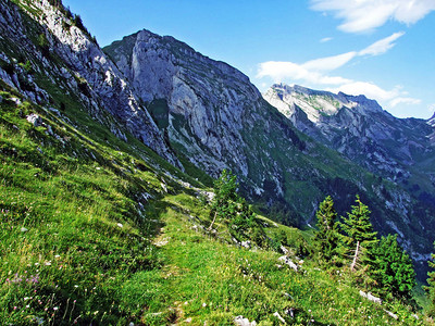 Alpstein山脉斜坡和Thur河谷的高山牧场和草地图片