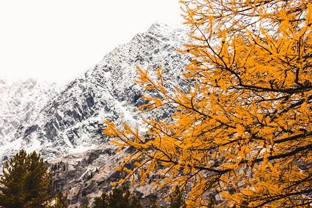 雪峰山顶下山的背面上图片