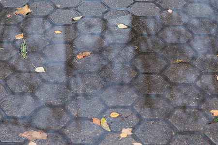 雨后水坑里的秋叶图片