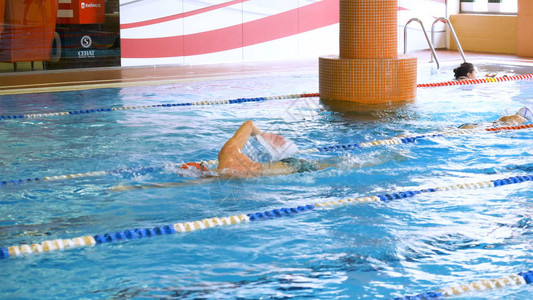 许多游泳者在游泳池里训练自由泳图片