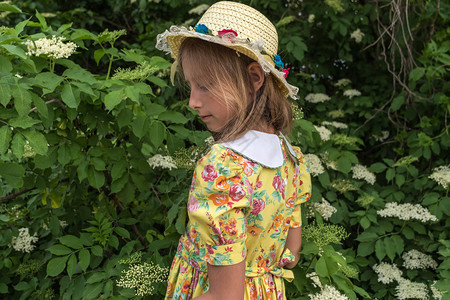 身着黄色礼服和帽子的年轻女孩在盛开的长莓果树丛图片
