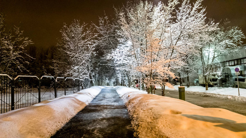 晚上大雪过后树木被雪覆盖图片