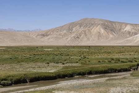 塔吉克斯坦Bulunkul附近Pam图片