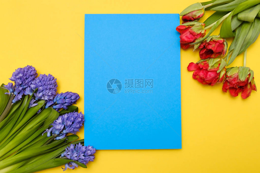 红色郁金香和蓝色花朵作为本卡印有复制空图片