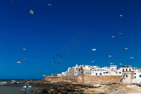 摩洛哥旧城Essaouir图片