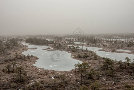 雪下深冬的冰冻水体河流或湖泊岸上的树木图片