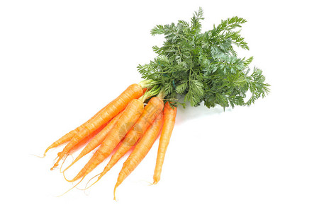 成熟的新鲜胡萝卜在白色背景下被隔离图片