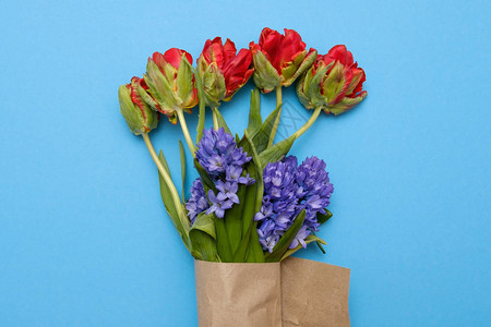红郁金香和蓝色花朵图片