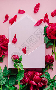 粉红色背景上的红色新鲜牡丹和信封上方视图图片