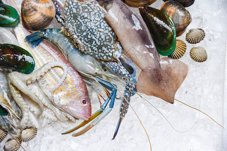 冰背景中的新鲜生海鲜贝类虾蟹壳蛤蜊贻贝鱿鱼章和海鲜市图片