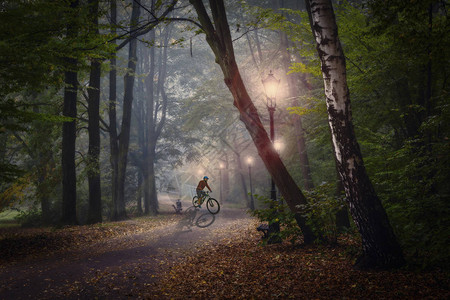 骑自行车在公园的金色光芒小道雾景中图片