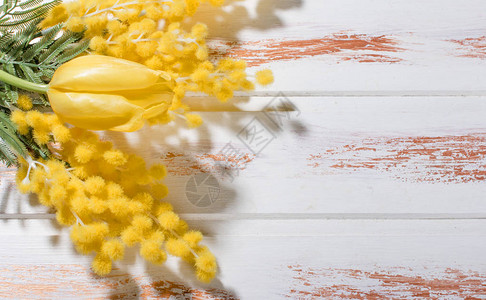 黄色的米摩萨和黄色的郁金香在白木背景图片