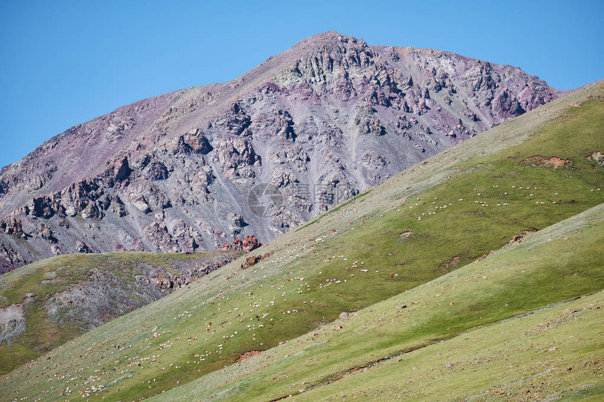 在蒙古西部Tsagduult山边自然山区边界的山草原坡上放牧图片