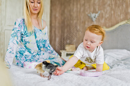 婴儿在床上玩活鸡图片