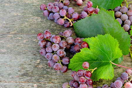 一群粉红色葡萄和木质表面的葡萄叶葡萄收图片