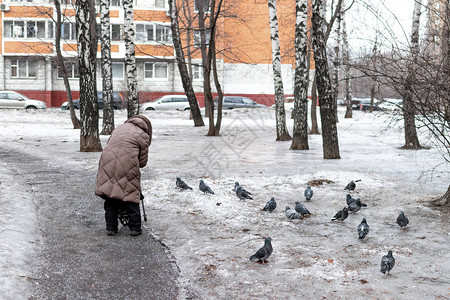 年老女人和鸽子在广场上过冬养老金概念俄图片
