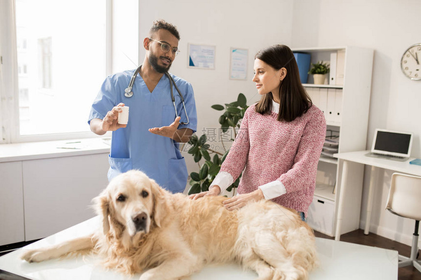 年轻有能力的兽医向兽医诊所的猎犬主人提供图片