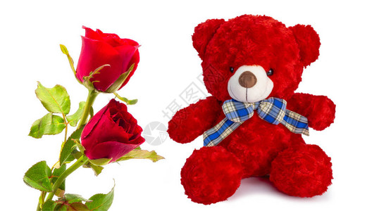 泰迪熊和红玫瑰图片