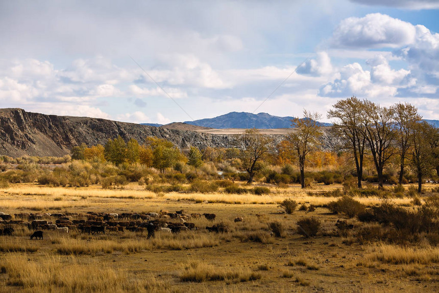 山脚下的蒙古草原景观图片