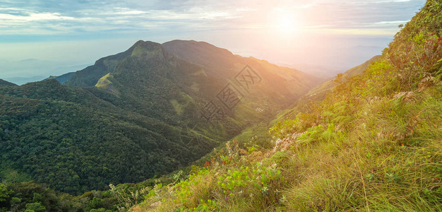 终极一战对日出云雾森林的世界终极著名的旅游景点和斯里兰卡地标的背景