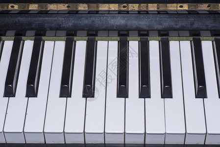 模拟音乐钢琴键图片