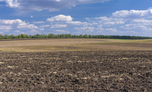 乌克兰秋季农业景观图片