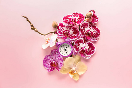 彩色背景上的闹钟和美丽的花朵背景图片
