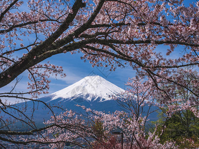 日本春季自然界标志地标的山图片