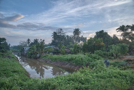 清晨灌溉河边的场景图片