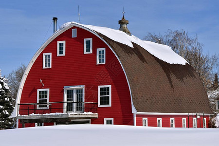 一个红圆谷仓屋顶上的雪处于熔化的第一阶段图片