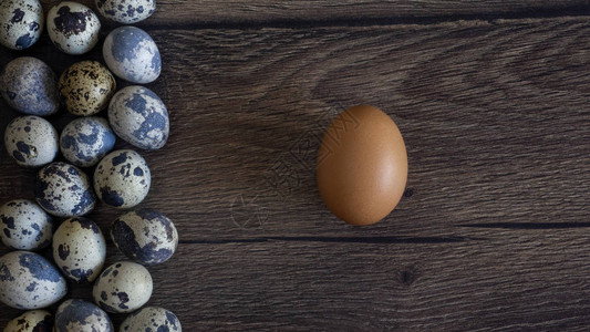 鸡蛋和鹌鹑蛋的食物背景图片