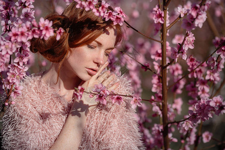 红发在温柔的桃子花园里背景图片