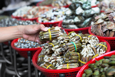 在海鲜街头市场销售的新鲜海渔获图片