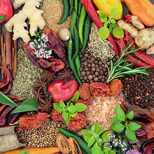 香料和草药食品季节食物选择形成背景图片
