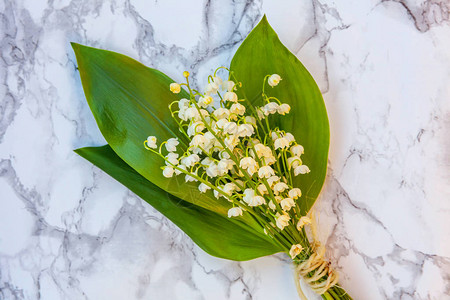 一束鲜花美丽的气味铃兰或大理石背景上的五月百合春季或夏季概念的花园Lillyofthevalley的特写花枝顶视图背景图片