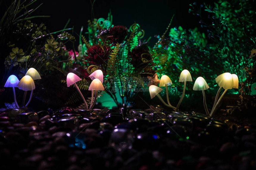 在神秘的黑暗森林特写中幻想发光的蘑菇神奇蘑菇或灵魂在化身森林中迷失的美丽微距镜头背景上有雾的仙女灯图片