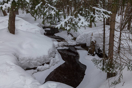俄罗斯冬季景观在冬季森林中流淌童话般的冬季森林与溪流与森林和小图片
