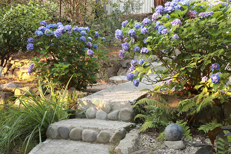 花园的石路景观设计生活方式美丽的花园的概念图片