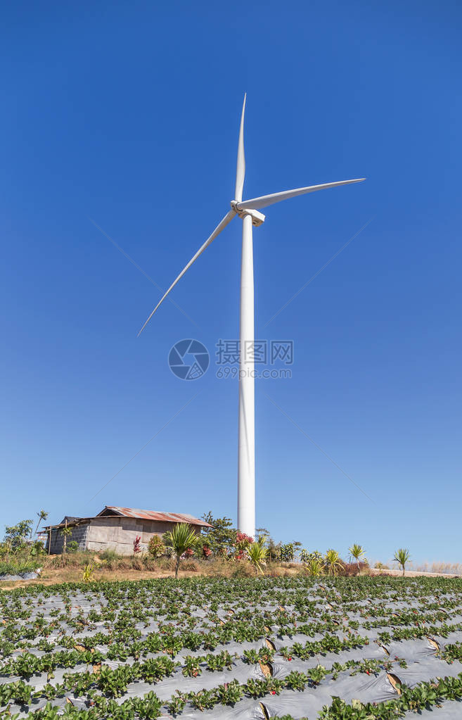 白色风力涡轮机在风力发电站发电图片