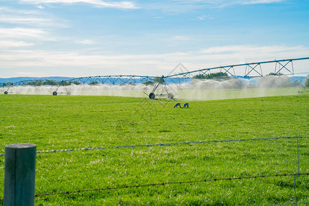 提供农田牧场管理用水分配的大型移动式灌溉喷洒器系统图片