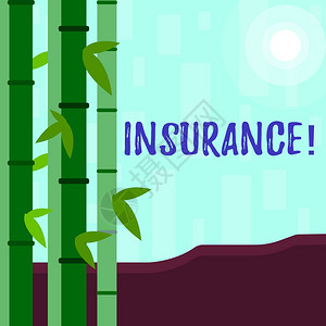 显示保险的书写笔记财务保护或补偿损失政策的商业概念五颜六色的竹叶和月图片