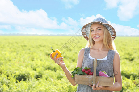 田间采菜的女农民图片