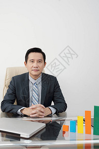 办公室表格3D图表中越南中年创业者的纵向图图片