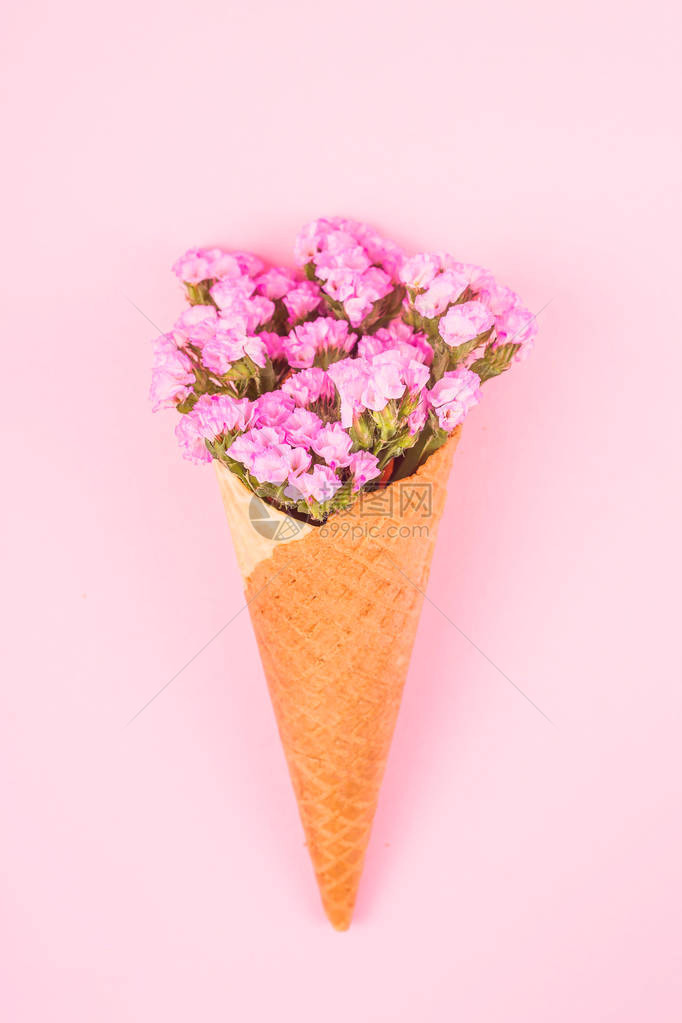 鲜艳的粉红色花朵图片